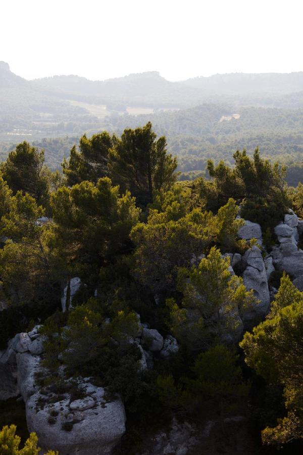 Le Mas Angelou Maussane les Alpilles Exteriör bild