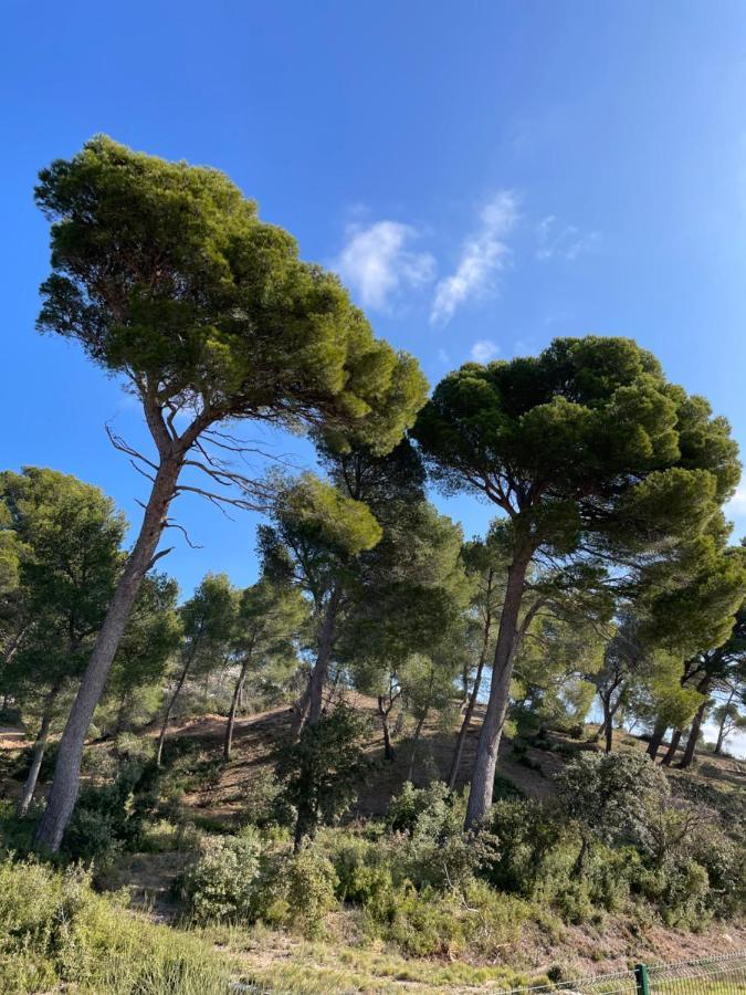 Le Mas Angelou Maussane les Alpilles Exteriör bild
