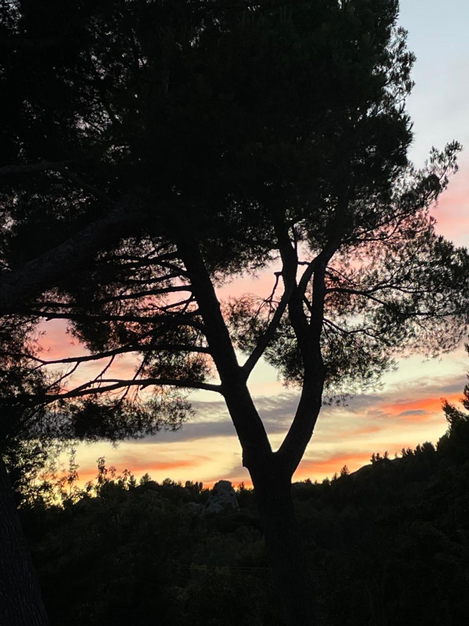 Le Mas Angelou Maussane les Alpilles Exteriör bild